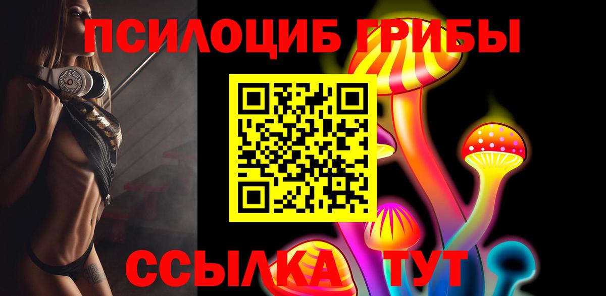 Галлюциногенные грибы Psilocybine cubensis Кисловодск