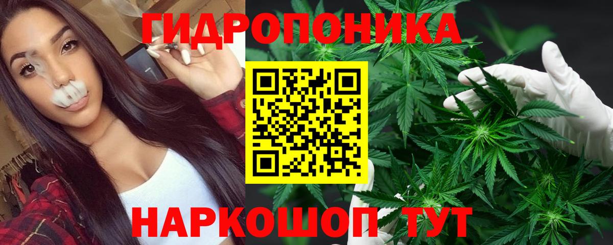 Канабис планчик  Вход с VPN  Кисловодск  Шишки марихуана VHQ 
